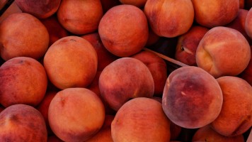 Fresh Fruit from Iran – Apples, Grapes, Citrus, Berries, pg-gostar