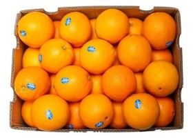 Fresh Valencia Orange Supplier – Premium Quality from South Africa