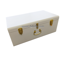 High Quality Metal Storage Trunk Box White Color Various Sizes by Feito