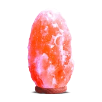 Himalayan Pink Salt Lamps – Natural, Geometric & Decorative Designs