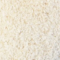 Buy Psyllium Husk Bulk Exporter from India for Digestive Health