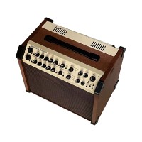 Universal Musical Instrument Speaker OS-AC140W for Concert & Performance Use