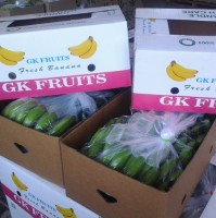 Fresh Green Cavendish Banana for Export