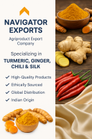 Export-Grade Dried Red Chilli for Oleoresin & Spice Blends – Sannam, Teja, Byadgi