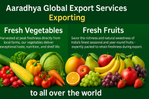 Fresh Vegetables from Wholesaler – Bulk Quality Export from India