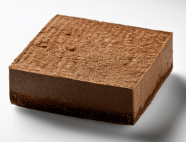 Organic Coco Peat for Hydroponics and Horticulture - Best Quality from India
