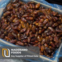 Pitted Sayer Dates Wholesaler – Soft Seedless Iranian Dates for Food Industry