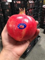 Egyptian Pomegranate – Grade AA Wholesale Exporter from Egypt