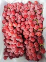Red Globe Grapes for Sale - Fresh Red Table Grapes Exporter from Egypt