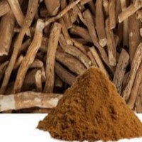 Ashwagandha P.E. 2.5% Withanolides HPLC – Manufacturer & Exporter from India