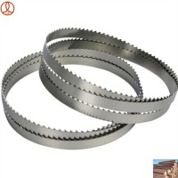 CHANG SHENG Hardened Teeth Bandsaw Blade for Cutting Meat and Wood