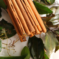 Ceylon Pure Cinnamon Bulk Supplier – Export Quality Spice from Sri Lanka