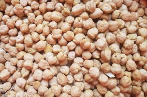 Iranian Premium Chickpeas Bulk Supply – Best Wholesaler