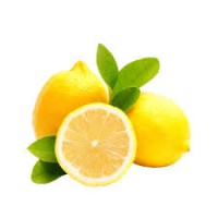 Fresh Egyptian Lemons for Sale – Bulk Exporter from Egypt with Best Rates