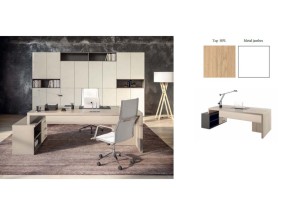 EXECUTIVE OFFICE.1 Lacquered Executive Desk with Melamine Top