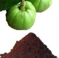 Garcinia Cambogia Extract Powder for Weight Loss and Appetite Control