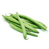 Premium Egyptian Green Beans for Wholesale – Export Quality