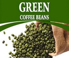 Green Coffee Bean Extract Natural Digestion Support Supplement from Wholesaler