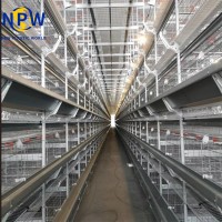 H-Type Automatic Broiler Cage System for Efficient Poultry Farming