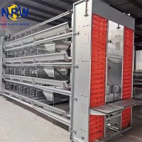 H-Type Automatic Layer Chicken Cage Equipment for Large-Scale Poultry Farms