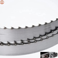 Heavy-Duty Carbide Tipped Bandsaw Blade for Metal Cutting – CHANG SHENG