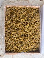 Iranian Golden Kashmar Raisins for Sale – Bulk Supplier & Exporter from Iran