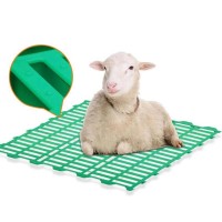 NPW Eco-Friendly Plastic Goat Slat Floor for Sheep and Goat Farms – Durable & Customizable