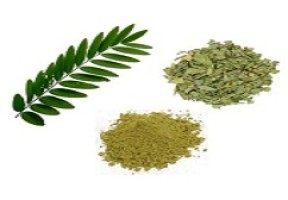 Senna Extract – Herbal Laxative Ingredient for Digestive Health, AHIMSA