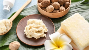 Premium Shea Butter – Bulk Supply for Skincare & Cosmetic Use