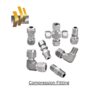 Stainless Steel Sanitary Fittings & Connectors with Custom Finishes and Thread Types