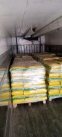 UREA PRILL Fertilizer for Agriculture & Industry – Export from Iran