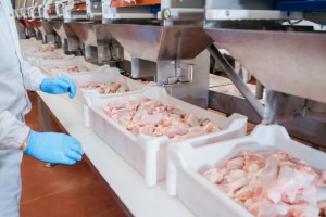 Halal Whole Chicken Exporter from Brazil - Aurora, Chester & Perdix Cuts