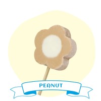 Blossom Ice Cream Bar - Peanut, Handcrafted Taiwanese Chewy Ice Cream Treat