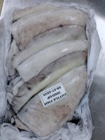 Frozen Cuttlefish & Squid – HACCP Certified Export from Oman