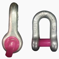 Heavy Duty Forged D Shackles for Lifting and Rigging Applications