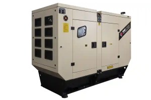 TMG POWER 45kVA Diesel Generator for Industrial Use with ATS Included