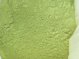 Organic Moringa Leaf Powder for Smoothies and Supplements – India Supplier