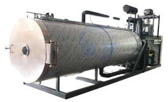 TOFFON Freeze Dryer TF-FZG-20 for Food and Herb Processing