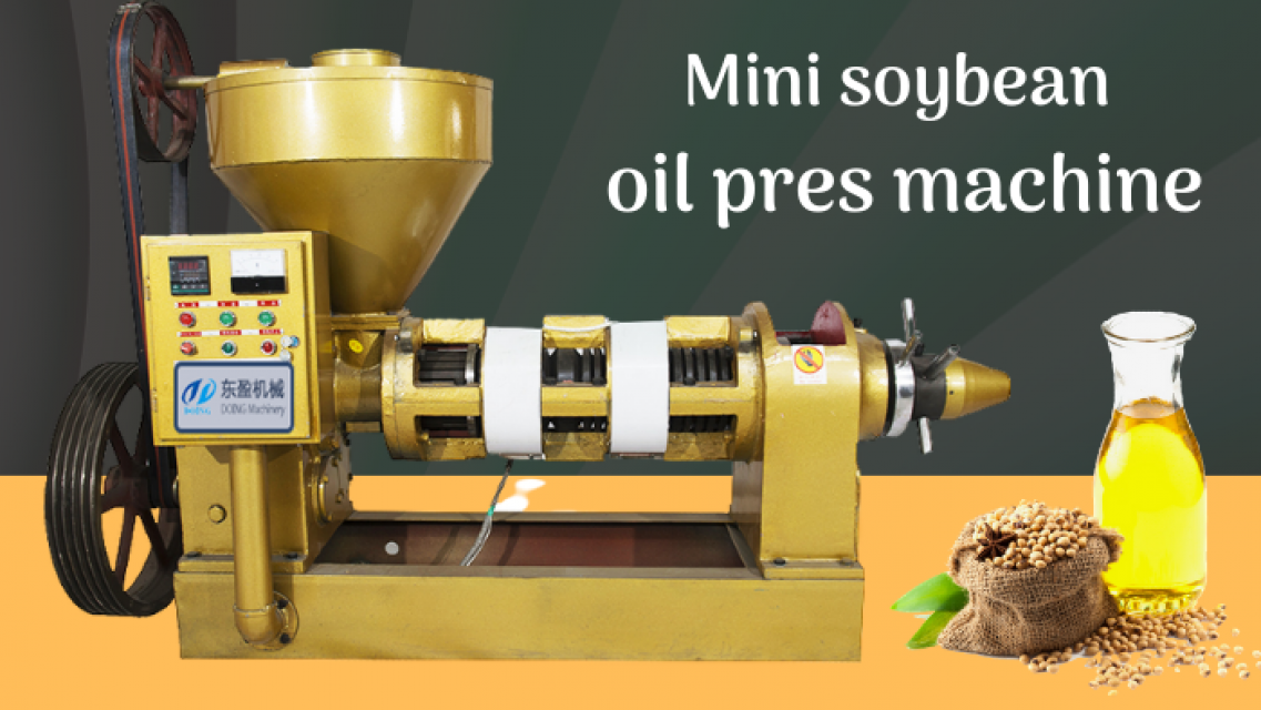 Small Scale Soybean Oil Pressing Machine for Home Extraction