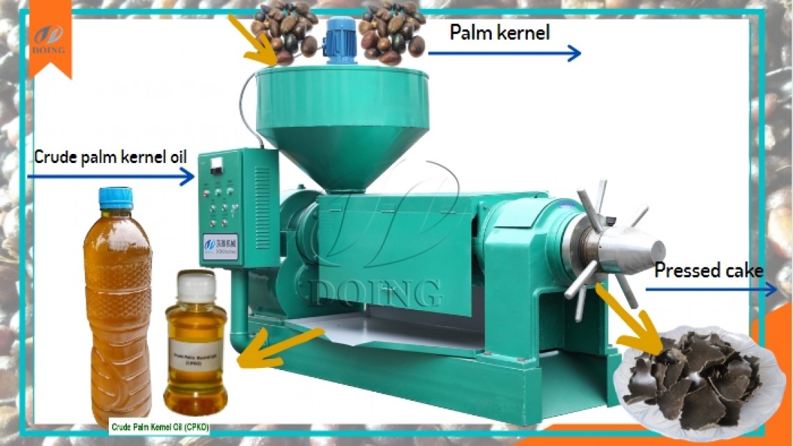 Energy saving factory supply palm kernel oil extractor