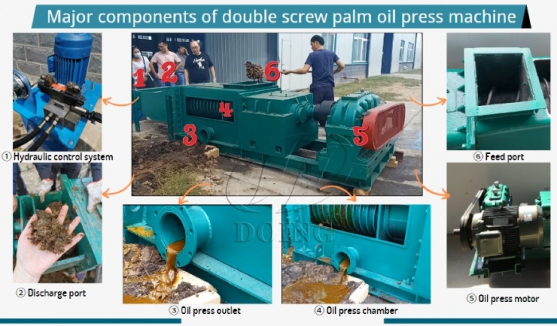 Double Screw Palm Oil Pressing Machine Palm Oil Processing Plants