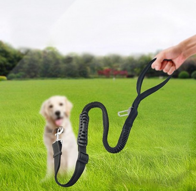 Dog Leashes Suppliers