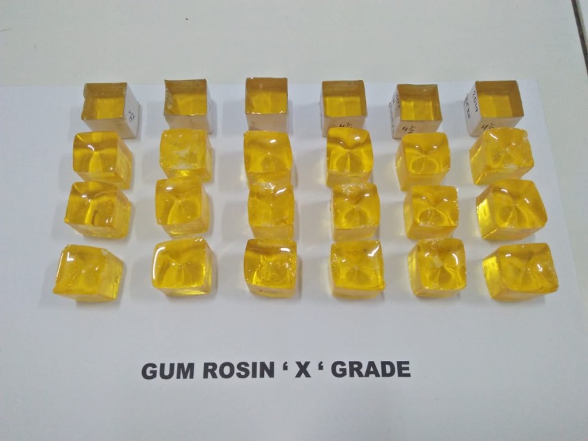 Indonesia's Finest Gum Rosin (PM-002)