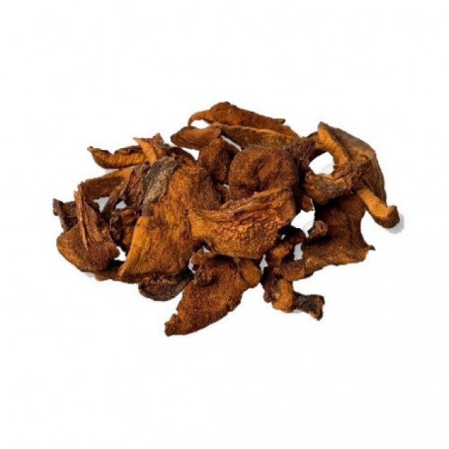 Mushroom dried from peru BOLETUS LUTEUS / SUILLUS LUTEUS