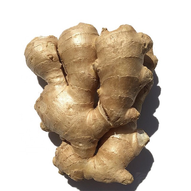 Ginger Fresh Organic