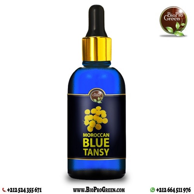 Moroccan blue tansy essential oil
