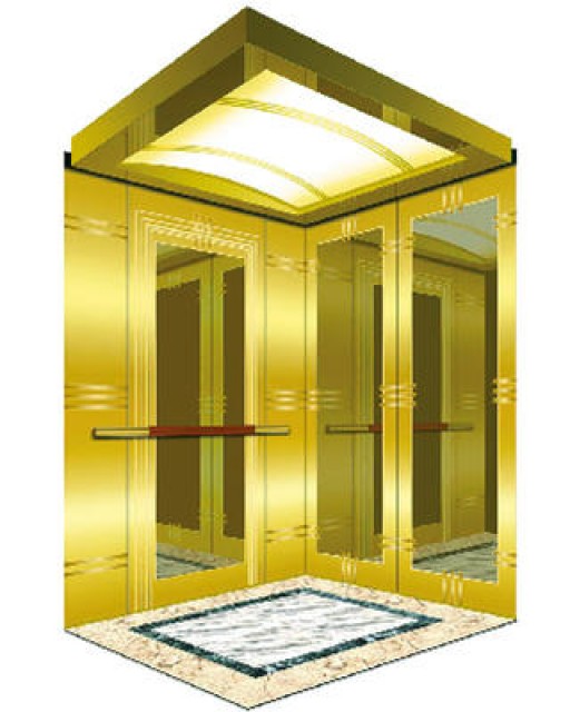 6 Person Passenger Elevator - Titanium Gold Design, VVV-F Drive
