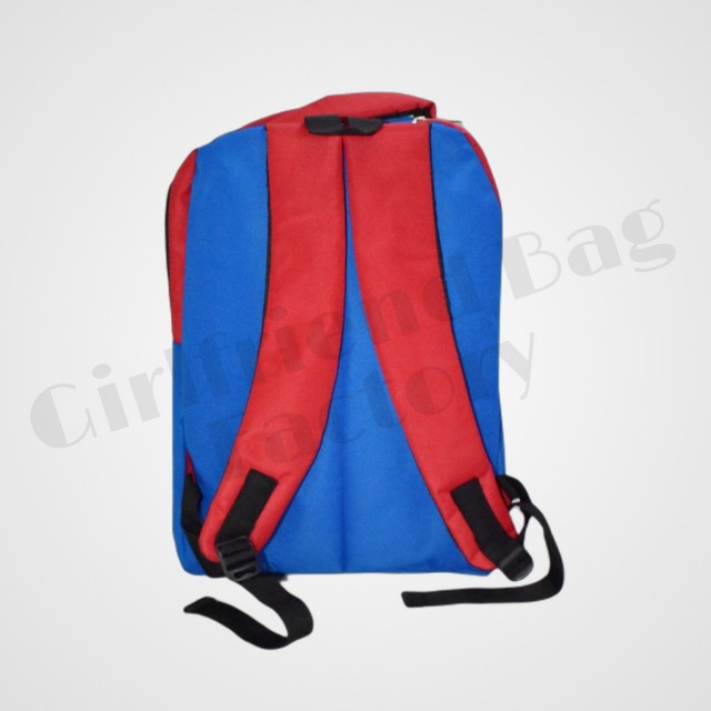 College bag/ School bag for boy