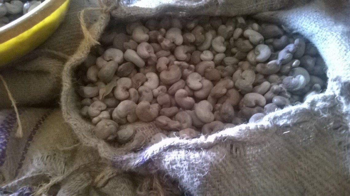 Tanzanian Raw Cashew Nuts With Shells - Wholesale Supplier