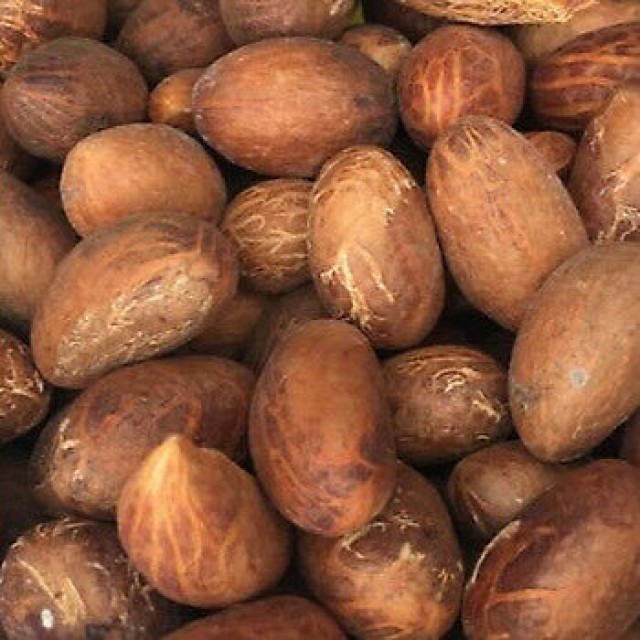 Organic Bitter Kola Nut (Garcinia Kola) 1LB- W/Africa